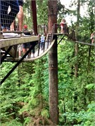 24-Capilano-GrosseMtn
