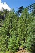 17-Whistler