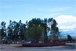 0059-059-OrangeEmpire