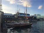 0322-16-AucklandNZ