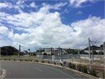 0335-14-Auckland-Insignia