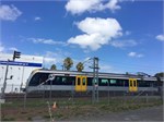 0337-16-Auckland-Insignia