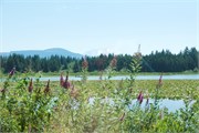 02-MtStHelens