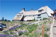 11-MtHood-OR