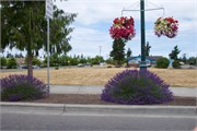 12-Sequim-PortAngeles_WA