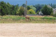 13-Sequim-PortAngeles_WA