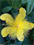 22-Sequim-PortAngeles_WA
