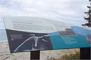 06-Dungeness-WA