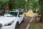 02-OlympicNatlParkWA