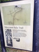 05-OlympicNatlParkWA