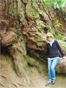 13-OlympicNatlParkWA