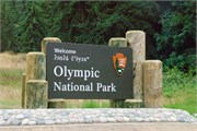 17-OlympicNatlParkWA