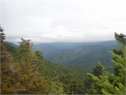 23-OlympicNatlParkWA