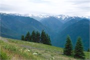 31-OlympicNatlParkWA
