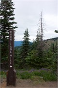 35-OlympicNatlParkWA