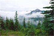 38-OlympicNatlParkWA