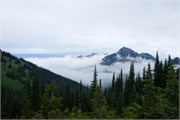 43-OlympicNatlParkWA