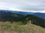 46-OlympicNatlParkWA