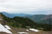 47-OlympicNatlParkWA