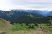 48-OlympicNatlParkWA
