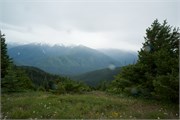 55-OlympicNatlParkWA