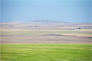 68-OlympicWA-2-SandpointID