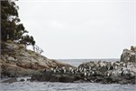 069-32-BruneyIsland
