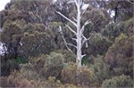 070-34-BruneyIsland