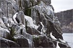 072-43-BruneyIsland