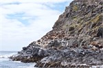 075-59-BruneyIsland