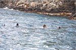 081-65-BruneyIsland