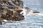 083-68-BruneyIsland