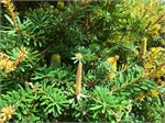 095-13-BotanicalGardens