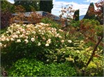 102-22-BotanicalGardens