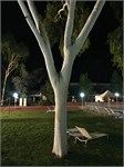 116-19-UluraSunset