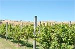 119-15-PencarrowStationNZ