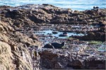 172-23-Dunedin-NZ