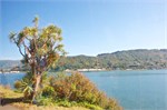 175-32-Dunedin-NZ