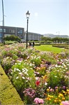 176-41-Dunedin-NZ