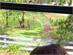 177-05-Eden-Australia