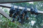 183-02-LonePine