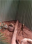 212-13-RainForestStation