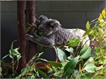 215-22-RainForestStation