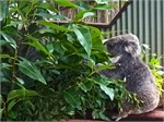 216-21-RainForestStation