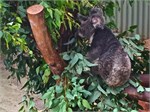 217-20-RainForestStation