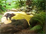222-09-RainForestStation