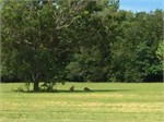 239-38-DarwinAustralia