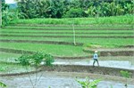 262-10-Central_Java