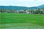 263-12-Central_Java