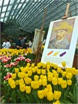 297-06-FlowerDome